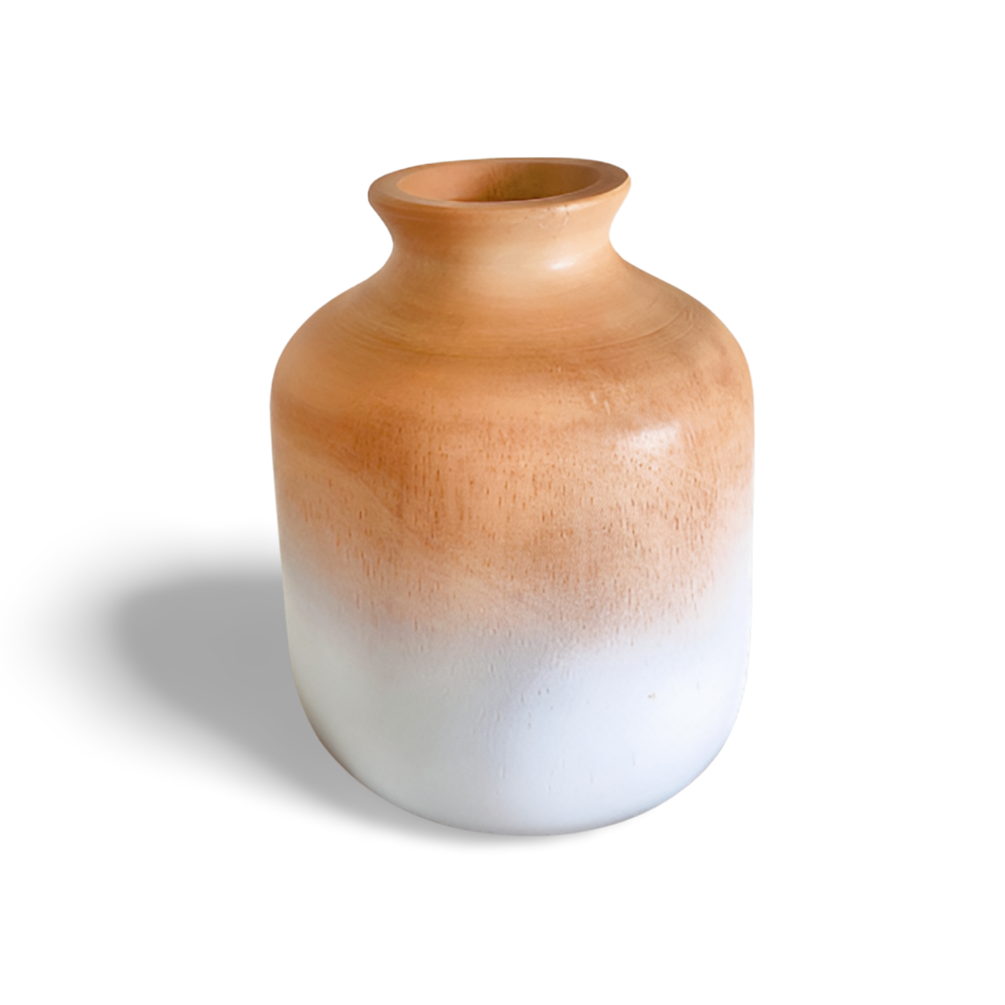 Mangoville Mini Vase Set