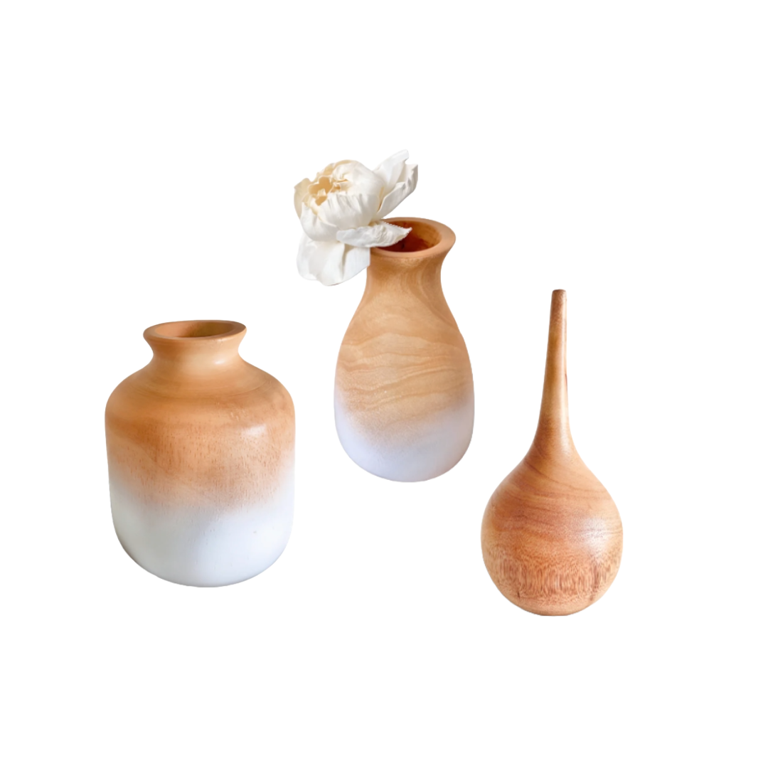 Mangoville Mini Vase Set